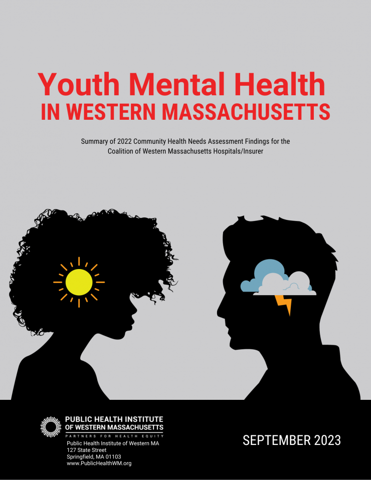 Youth Mental Health Regional Report (1).png