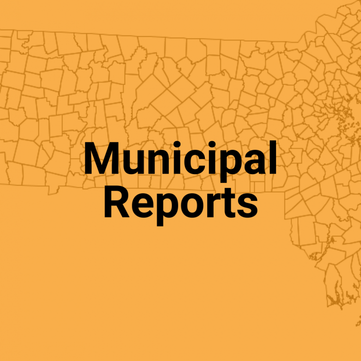 Municipal Reports